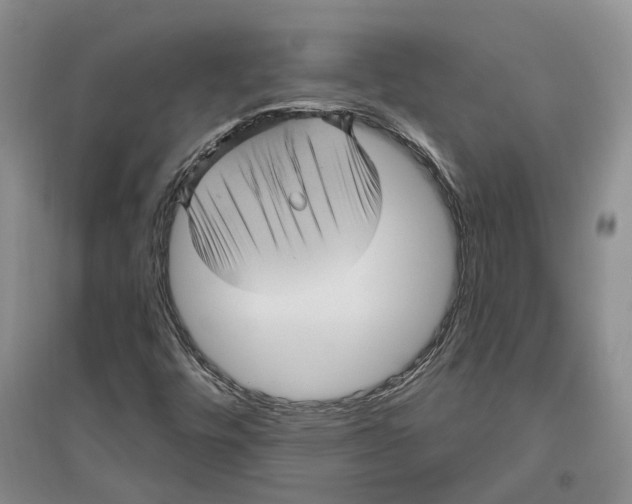 X0000096421448200802211113