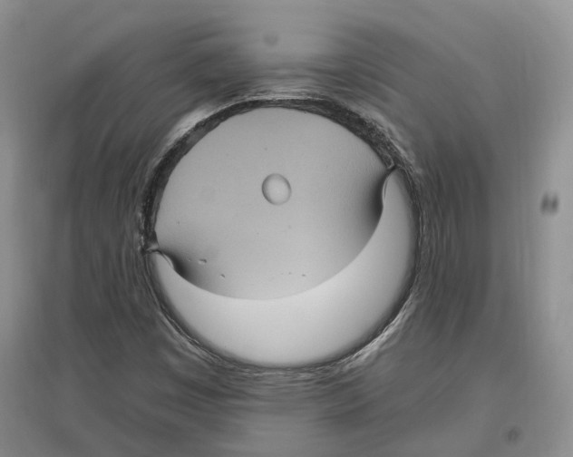 X0000096421449200802211113