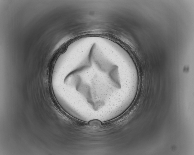 X0000096421450200802211113