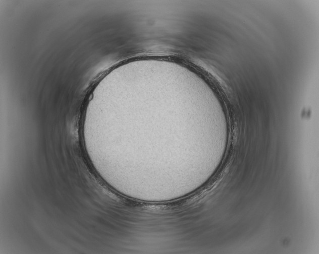 X0000096421451200802211113