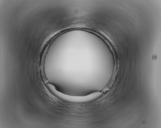 X0000096421452200802211113
