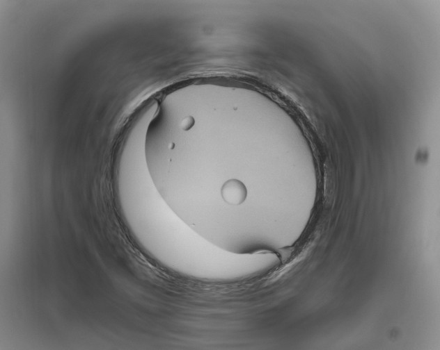 X0000096421453200802211113