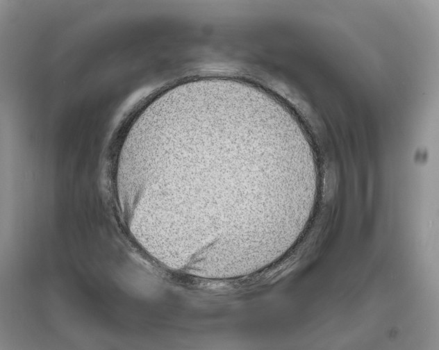 X0000096421454200802211113