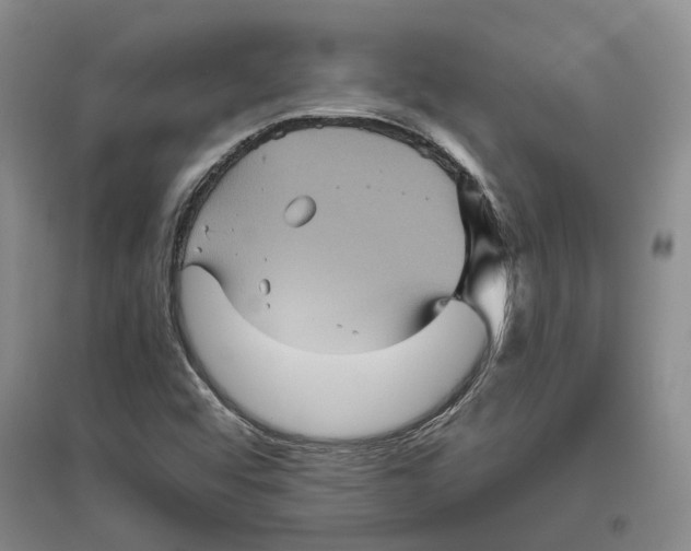 X0000096421456200802211113