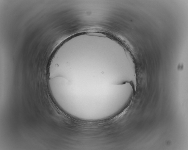 X0000096421457200802211113