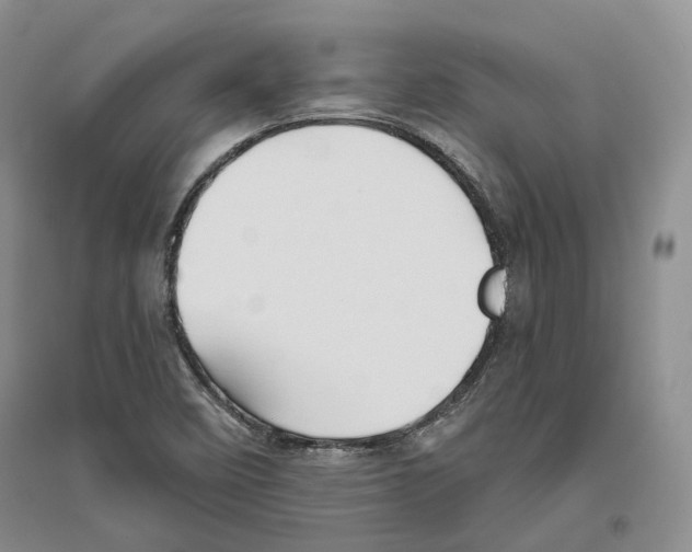X0000096421458200802211113
