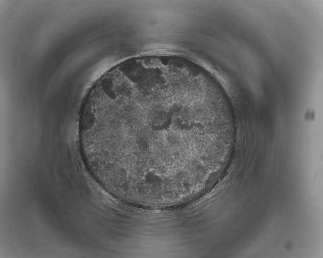 X0000096421459200802211113