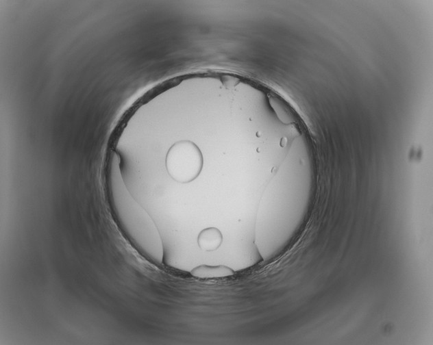 X0000096421460200802211113