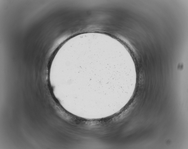 X0000096421461200802211113