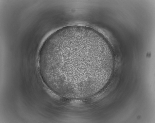 X0000096421462200802211113