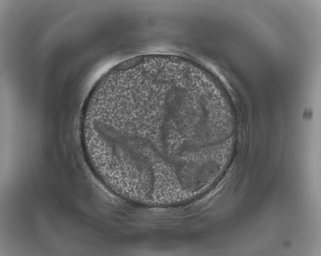 X0000096421463200802211113