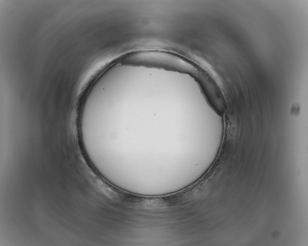 X0000096421464200802211113