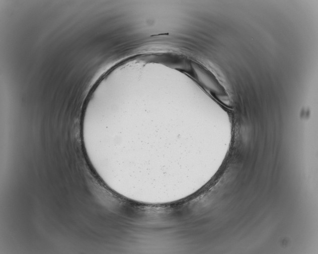 X0000096421465200802211113