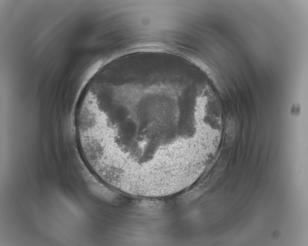 X0000096421466200802211113