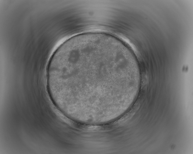 X0000096421467200802211113