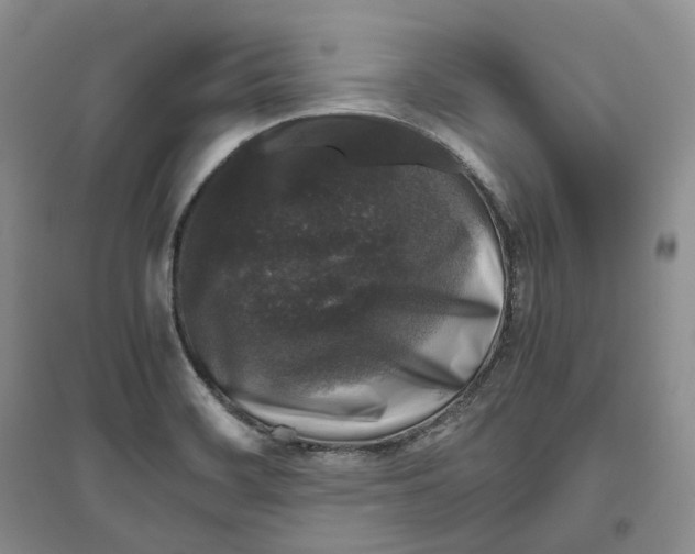 X0000096421468200802211113