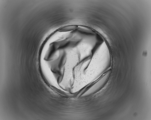 X0000096421469200802211113