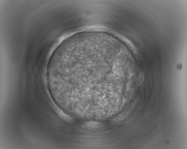 X0000096421470200802211113