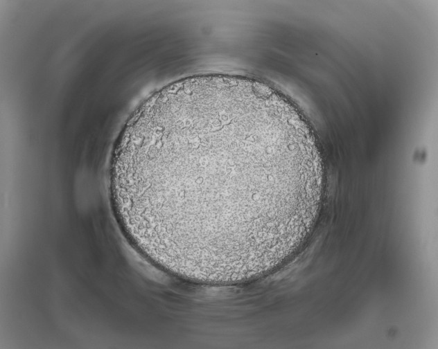 X0000096421471200802211113