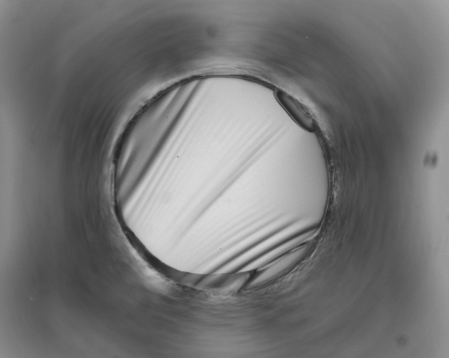 X0000096421472200802211112