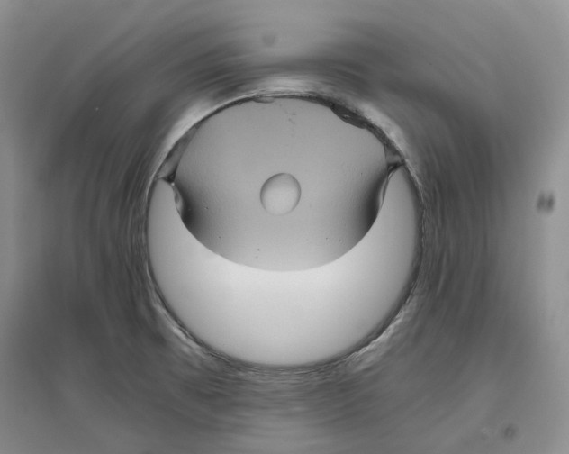 X0000096421473200802211112