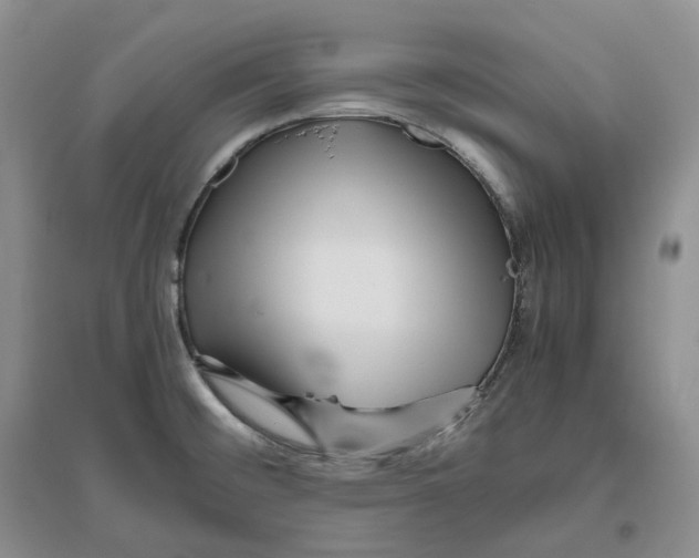 X0000096421476200802211112