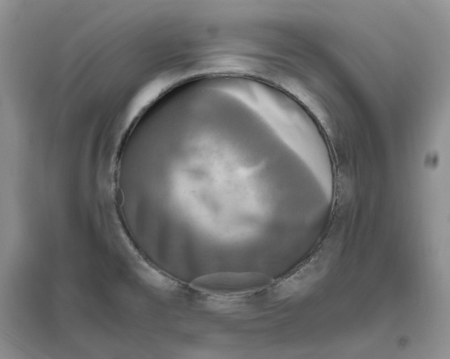 X0000096421477200802211112