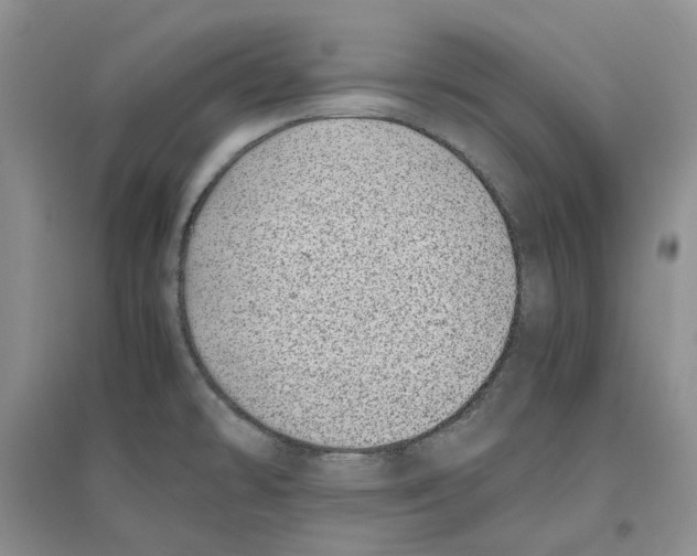 X0000096421478200802211112