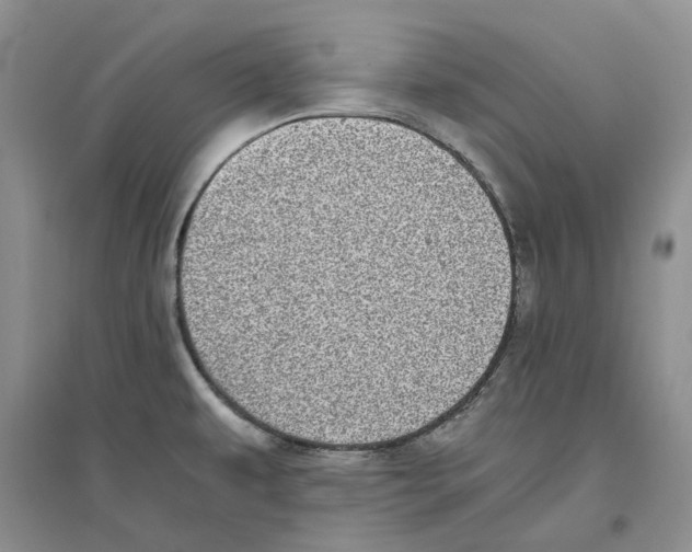 X0000096421479200802211112