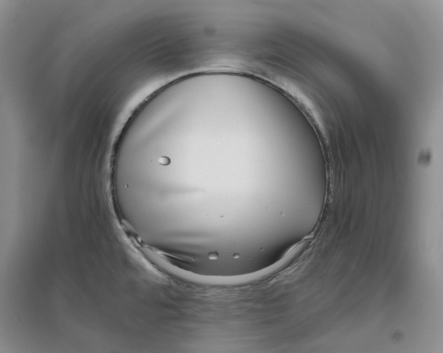 X0000096421480200802211112