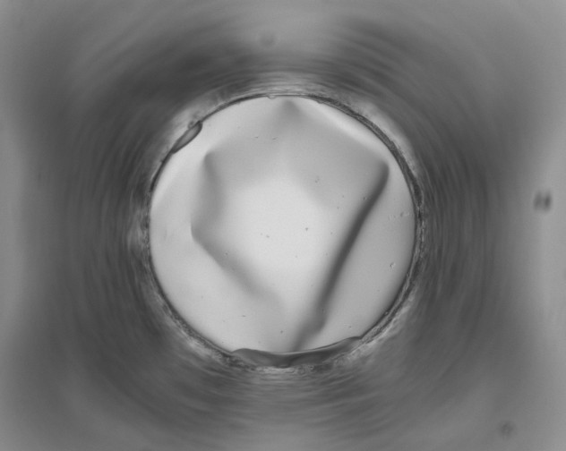 X0000096421481200802211112