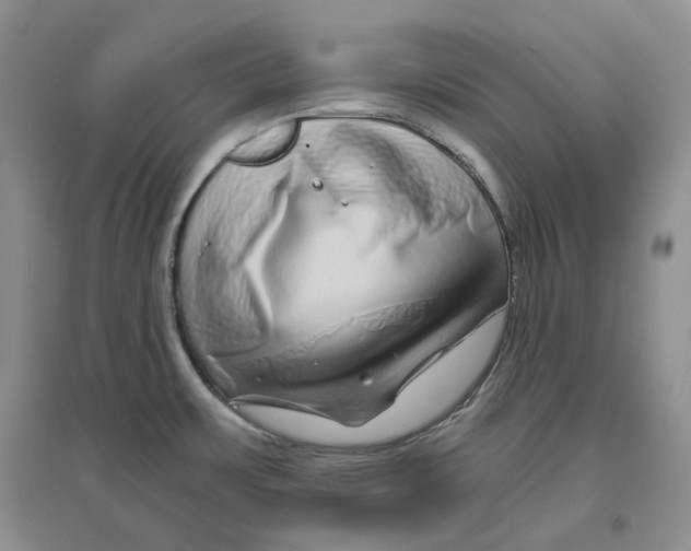 X0000096421483200802211112