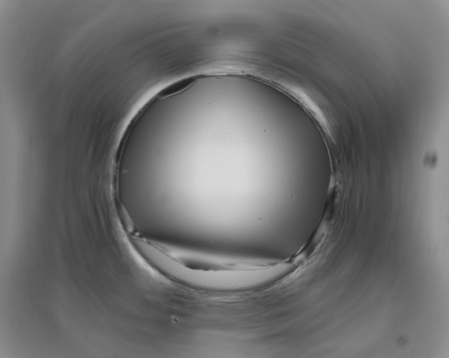 X0000096421484200802211112