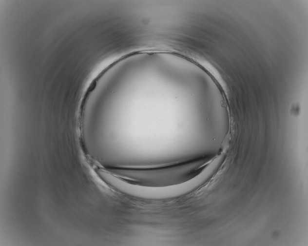 X0000096421485200802211112