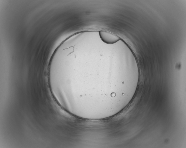 X0000096421486200802211112