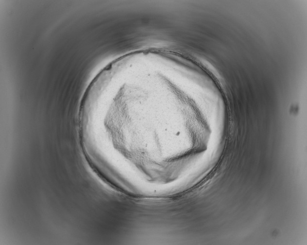 X0000096421487200802211112