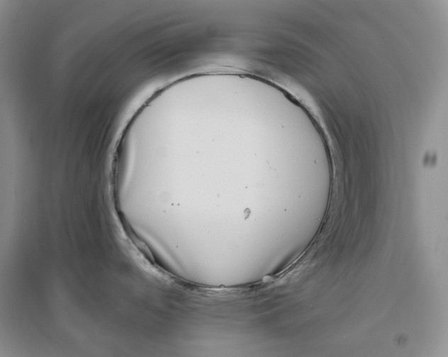 X0000096421488200802211112