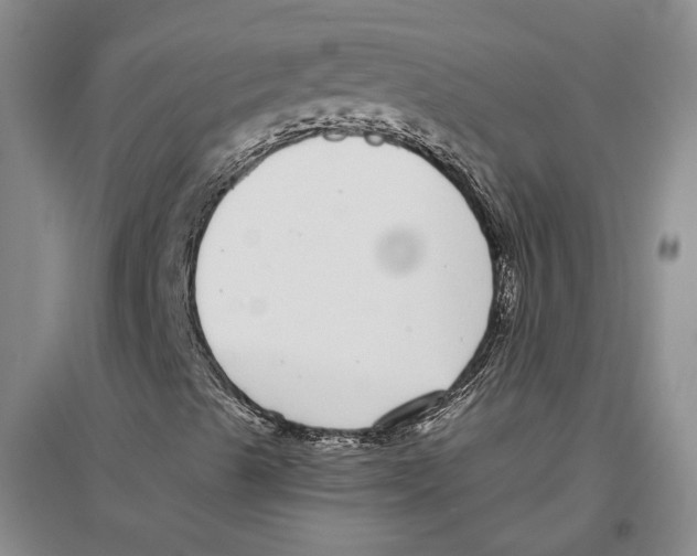 X0000096421489200802211112