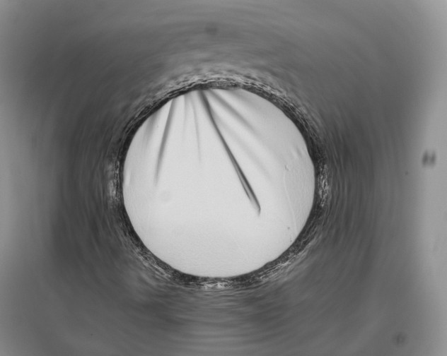 X0000096421490200802211112