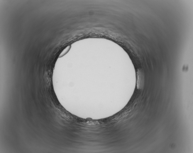 X0000096421491200802211112