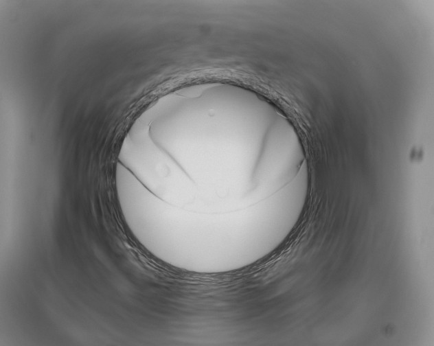 X0000096421492200802211112