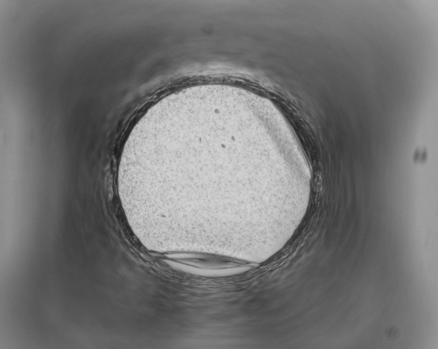 X0000096421493200802211112