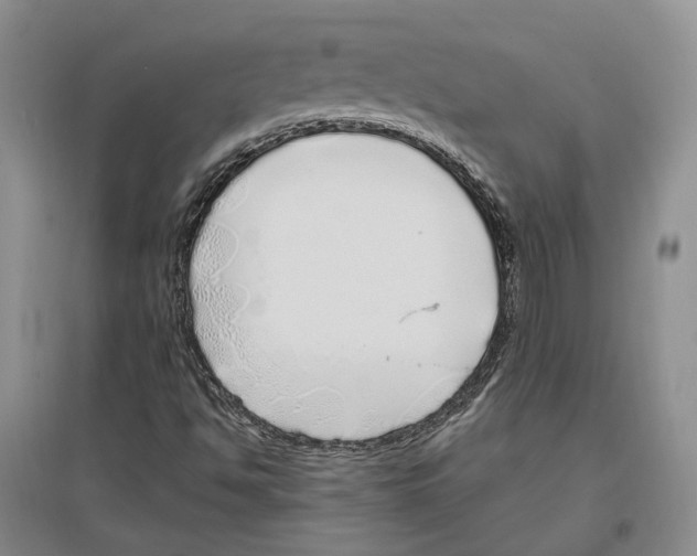 X0000096421494200802211112