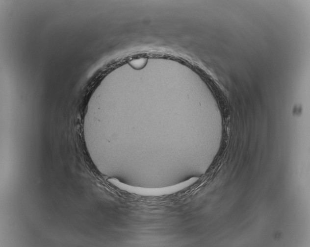 X0000096421495200802211112