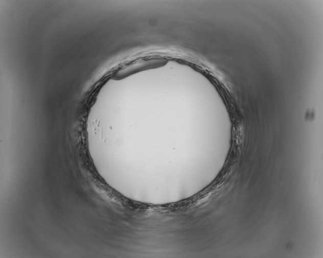 X0000096421496200802211112