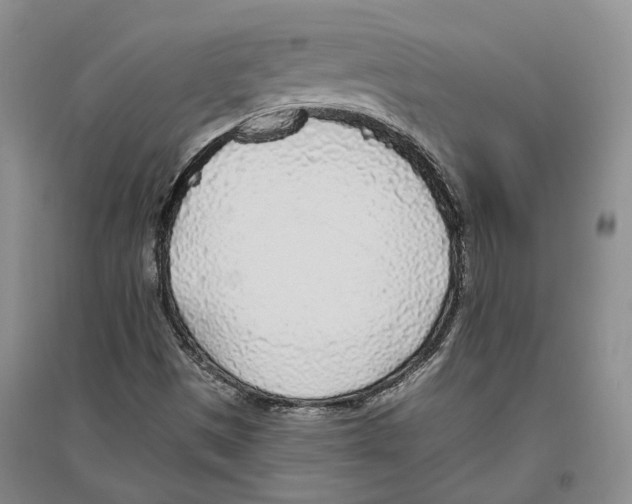 X0000096421497200802211112