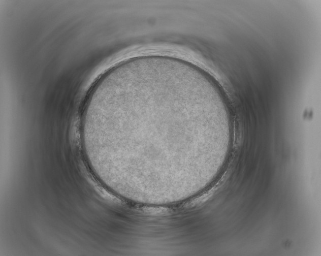 X0000096421498200802211112