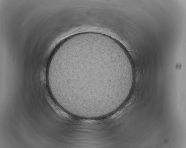 X0000096421499200802211112