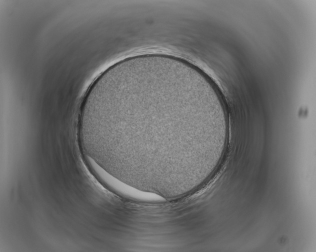 X0000096421500200802211112