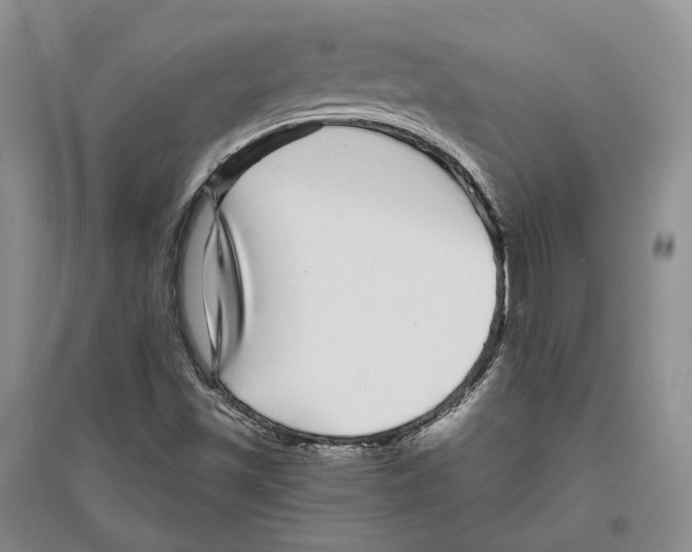 X0000096421501200802211112